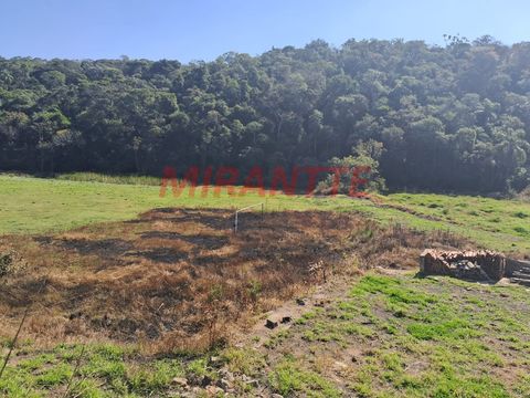 Foto Fazenda / Sítio / Chácara