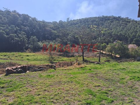 Foto Fazenda / Sítio / Chácara