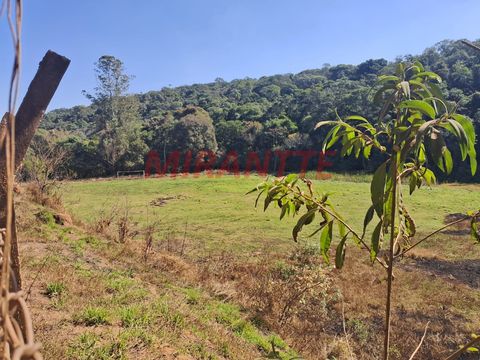 Foto Fazenda / Sítio / Chácara