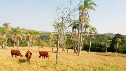 Foto Fazenda / Sítio / Chácara