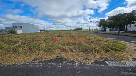 Foto Terreno