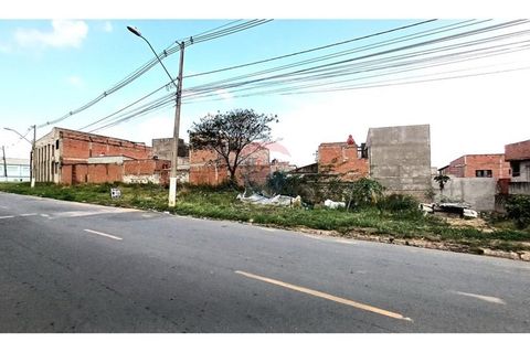 Foto Terreno