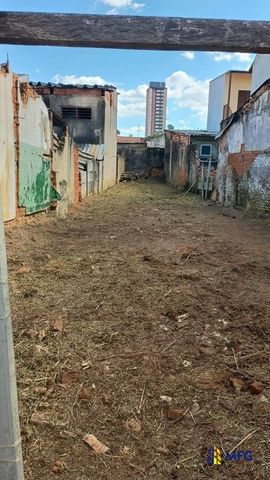 Foto Terreno