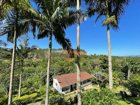 Foto Fazenda / Sítio / Chácara