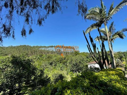 Foto Fazenda / Sítio / Chácara