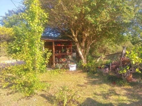 Foto Fazenda / Sítio / Chácara