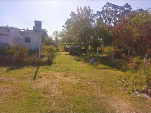 Foto Fazenda / Sítio / Chácara