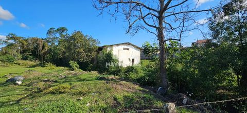 Foto Terreno