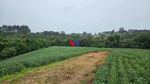 Foto Fazenda / Sítio / Chácara