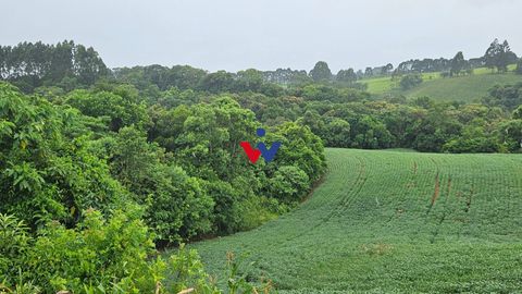 Foto Fazenda / Sítio / Chácara