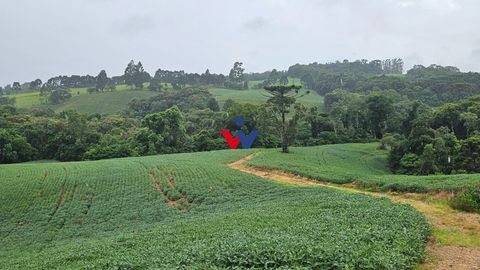 Foto Fazenda / Sítio / Chácara