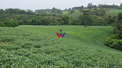Foto Fazenda / Sítio / Chácara