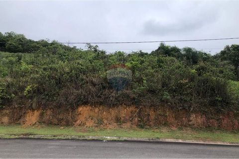 Foto Terreno