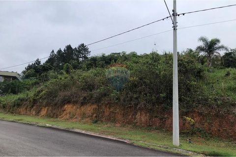 Foto Terreno