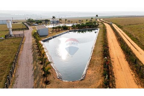 Foto Fazenda / Sítio / Chácara