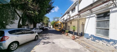 Foto Galpão / Depósito / Armazém / Pavilhão