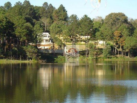 Foto Terreno