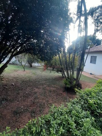 Foto Fazenda / Sítio / Chácara