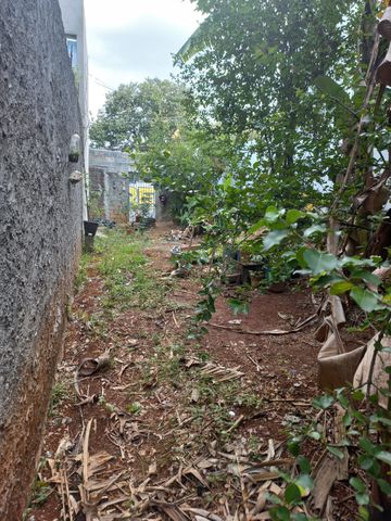 Foto Terreno