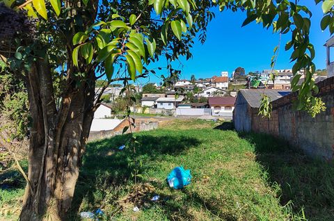 Foto Terreno