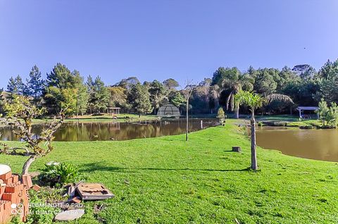 Foto Fazenda / Sítio / Chácara