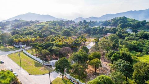 Foto Terreno