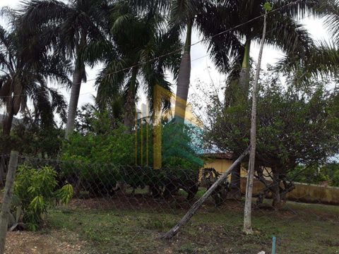 Foto Fazenda / Sítio / Chácara