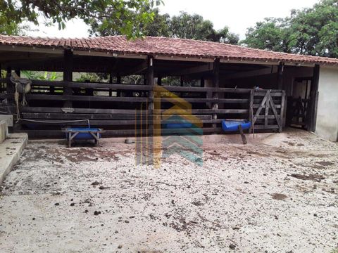 Foto Fazenda / Sítio / Chácara