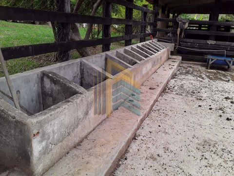 Foto Fazenda / Sítio / Chácara