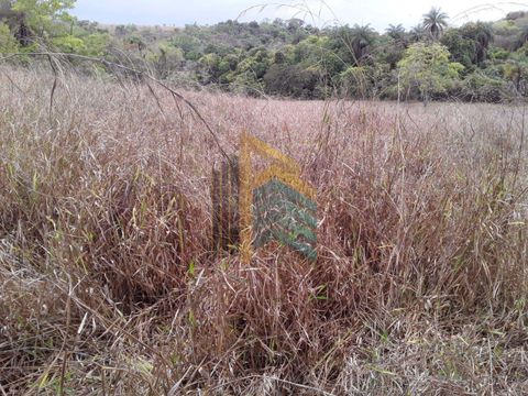 Foto Fazenda / Sítio / Chácara