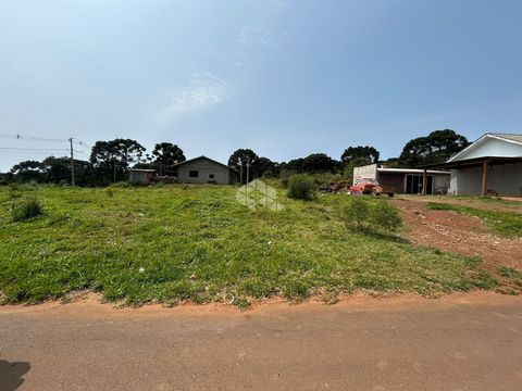 Foto Terreno