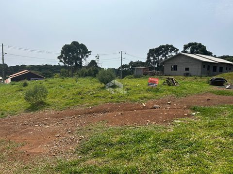 Foto Terreno