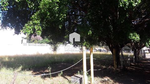 Foto Terreno