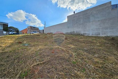 Foto Terreno