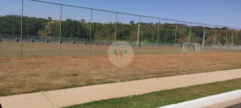 Foto Terreno