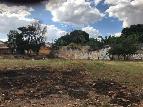 Foto Terreno
