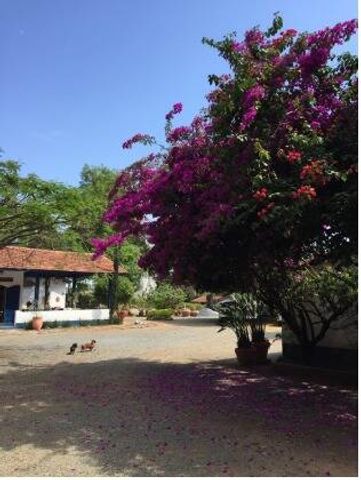 Foto Sala / Conjunto Comercial