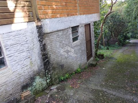 Foto Terreno
