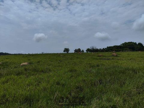 Foto Fazenda / Sítio / Chácara