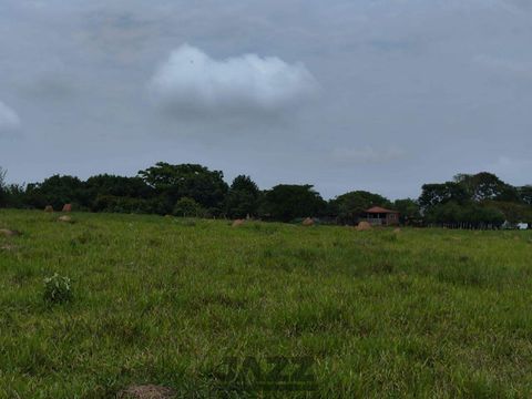 Foto Fazenda / Sítio / Chácara