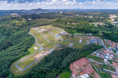 Foto Terreno