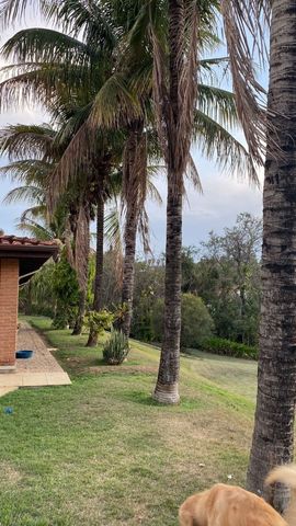 Foto Fazenda / Sítio / Chácara