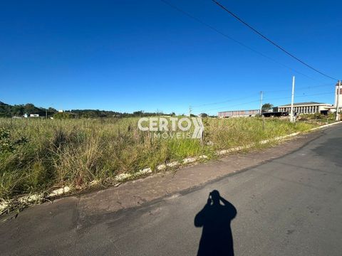 Foto Terreno