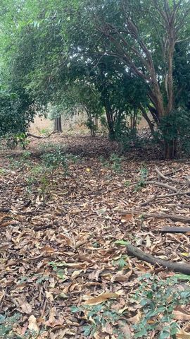 Foto Terreno