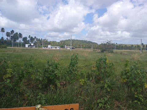 Foto Terreno