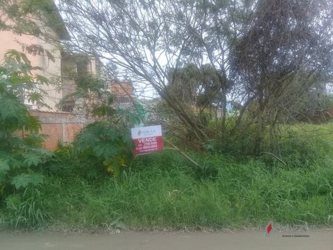 Foto Terreno