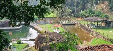 Foto Terreno