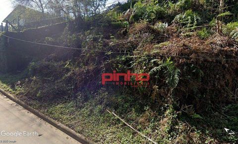 Foto Terreno