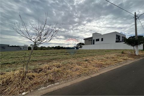 Foto Terreno
