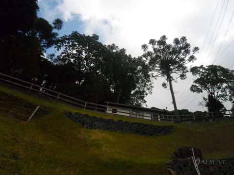 Foto Terreno